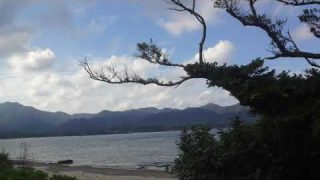 【シマ唄動画紹介】徳之島天城の正月唄 (祝い唄)　奄美民謡　徳之島シマ唄　amami【字幕】