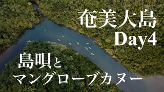 【シマ唄動画紹介】［VLOG］奄美大島旅Day4/マングローブカヌーと島唄＆島料理を体感！