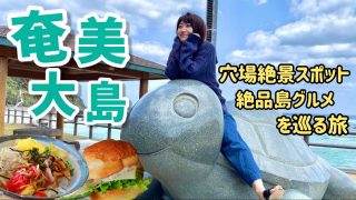 【奄美居酒屋動画紹介】奄美大島で欲望を満たす！誰にも教えたくない絶景や地元グルメを巡る癒し旅【奄美旅行/鹿児島】