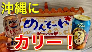 【沖縄居酒屋動画紹介】【沖縄サイコー】呑み旅🍺一押し沖縄料理の居酒屋も紹介するよ～