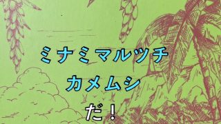【シマ唄動画紹介】「クロムシの唄」バンシローズ　　　#沖永良部島 #奄美群島 #琉球列島#ご当地ソング