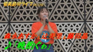 【シマ唄動画紹介】「♪晩酌ぐゎ」森永あすか＆藤田晶＆辻美里 in 奄美フェスタ2022