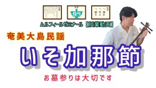 【シマ唄動画紹介】奄美大島民謡_島唄　いそ加那節　ムルフィールゼミナール授業動画