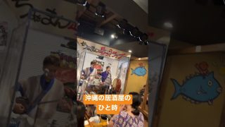 【沖縄居酒屋動画紹介】【沖縄旅行】　#沖縄#琉球#居酒屋