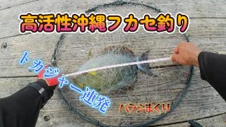【沖縄居酒屋動画紹介】沖縄フカセ釣り　トカジャー連発