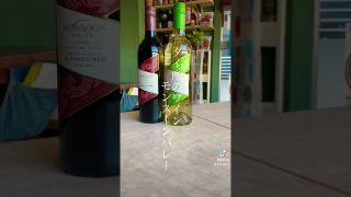 【沖縄居酒屋動画紹介】#そいさぼ　#アジアン食堂#沖縄料理　#タイ料理#沖縄　#タイ #福岡#パクチー　##シンハービール #オリオンビール  #福岡グルメ #薬院沖縄料理#薬院タイ料理#薬院グルメ #福岡居酒屋