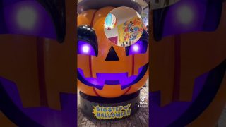 【沖縄居酒屋動画紹介】#沖縄居酒屋てぃんがーら #東心斎橋 #tiktok #shorts