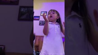 【沖縄居酒屋動画紹介】【石垣島 沖縄民謡 ハイサイおじさん🌺】
