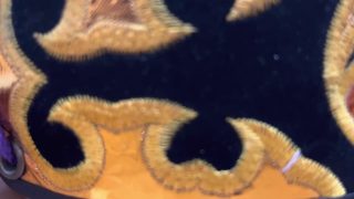 【シマ唄動画紹介】東れ立雲節 .奄美民謡 アガレタチグモブシ.アマミミンヨウ