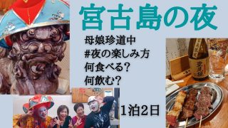 【沖縄居酒屋動画紹介】宮古島の夜｜三線ライブ居酒屋｜沖縄料理｜爆笑民謡ショー｜ダイニング◆合計何杯飲んだの？◇まもる君最優秀賞！◆母娘の無理のない旅