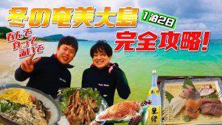【奄美居酒屋動画紹介】【〜奄美大島〜完全解説】オススメ〜冬の奄美過ごし方〜泳いで！飲んで！食べる！　　　　#奄美大島  #観光 #居酒屋