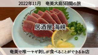 【奄美居酒屋動画紹介】【奄美ひとり旅】ヤギ刺し、タマ刺しを食べることができる「居酒屋 海峡」 2022年11月26日