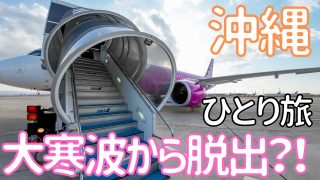 【沖縄居酒屋動画紹介】【沖縄】那覇で10年に一度の大寒波から逃れることができるのか?! 男ひとり旅VLOG