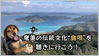 【シマ唄動画紹介】【奄美島唄】島んちゅ会　でぃ・ま〜じんま！（皆さん、ご一緒に）#奄美大島 #島唄 #beagle