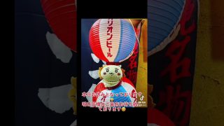 【沖縄居酒屋動画紹介】#shorts #tiktok #ちぃかわ #沖縄居酒屋てぃんがーら
