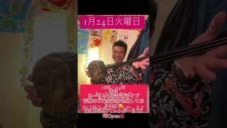 【沖縄居酒屋動画紹介】#shorts #tiktok #ちぃかわ #沖縄居酒屋てぃんがーら