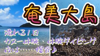【奄美居酒屋動画紹介】【限界!!】奄美大島/九州鹿児島編②【爆食部】