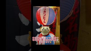【沖縄居酒屋動画紹介】#shorts #tiktok #沖縄居酒屋てぃんがーら#ちぃかわ