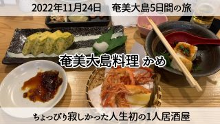 【奄美居酒屋動画紹介】【奄美ひとり旅】人生初の一人居酒屋は「奄美大島料理かめ」　2022年11月24日