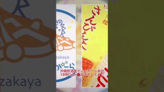 【沖縄居酒屋動画紹介】#shorts #tiktok #沖縄居酒屋てぃんがーら#香川テント村#ちぃかわ