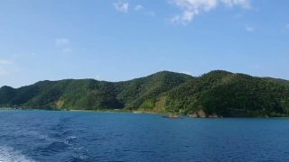 【シマ唄動画紹介】朝花節　吉永武英   山田スマ子　奄美民謡　奄美シマ唄　amami【字幕】