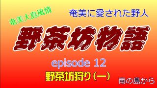 【シマ唄動画紹介】野茶坊物語　episode12　野茶坊狩り（一）奄美に愛された野人　奄美大島風情