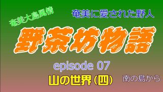 【シマ唄動画紹介】野茶坊物語　episode07　山の世界（四）奄美に愛された野人　奄美大島風情