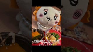【沖縄居酒屋動画紹介】#shorts #tiktok #沖縄居酒屋てぃんがーら #ちぃかわがいる店 #香川テント村