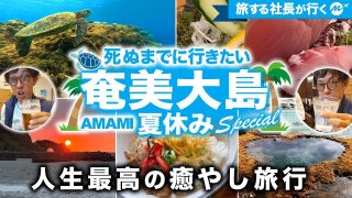 【奄美居酒屋動画紹介】【保存版】奄美大島43歳ひとり旅。海も山も酒も最高すぎた！東洋のガラパゴスのおすすめ絶景スポット・名物グルメ【鹿児島・旅行・観光】