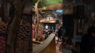 【沖縄居酒屋動画紹介】ハレクラニ沖縄の近くにある居酒屋「海物語」、サイコー！