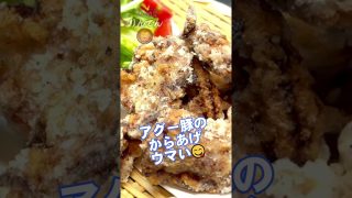 【沖縄居酒屋動画紹介】佐賀小城市にある 居酒屋りんでん紹介！｜異業種交流団体守成クラブ佐賀