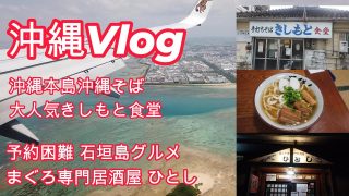 【沖縄居酒屋動画紹介】沖縄旅行　沖縄グルメ　石垣島 予約困難 居酒屋 ひとし ~  名護 本部 沖縄そば きしもと食堂　Vlog　 #jal   #沖縄 #JAL #JTA #ANA #グルメ #旅行  #Vlog