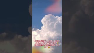 【沖縄居酒屋動画紹介】#shorts #tiktok #沖縄居酒屋てぃんがーら #ちいかわ #深夜居酒屋