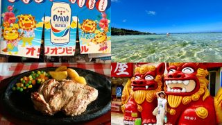 【沖縄居酒屋動画紹介】【大満喫】王道すぎない沖縄観光！エメラルドビーチ/水牛車/青の洞窟/アグー豚