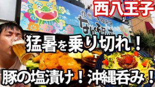 【沖縄居酒屋動画紹介】【なんくるないさー】沖縄居酒屋が西八王子にも！塩味の効いたつまみが最高でした！