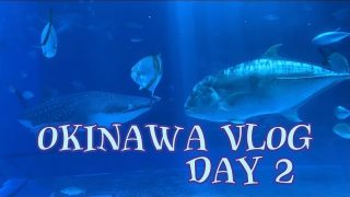 【沖縄居酒屋動画紹介】【vlog】沖縄女子旅〜2日目〜|ごほうび旅行✈️|めんだこvlog|