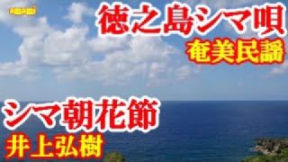 【シマ唄動画紹介】シマ朝花　井上弘樹　奄美民謡　徳之島シマ唄　amami【字幕】