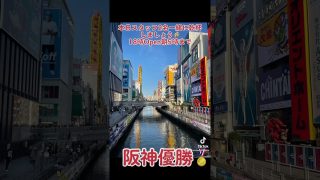 【沖縄居酒屋動画紹介】#shorts #tiktok #沖縄居酒屋てぃんがーら #深夜居酒屋 #アルバイト募集中 #道頓堀#阪神タイガース #阪神優勝