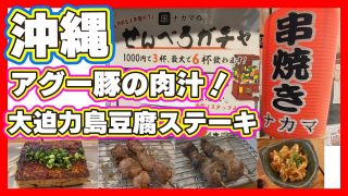 【沖縄居酒屋動画紹介】【沖縄】せんべろガチャで6杯飲めるの？セットでアグー豚串も選べるよ【 串ナカマ】
