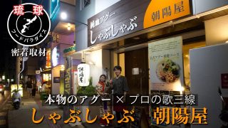 【沖縄居酒屋動画紹介】【沖縄こだわり居酒屋＃2】純血アグー×プロの歌三線　本物が揃うしゃぶしゃぶ朝陽屋