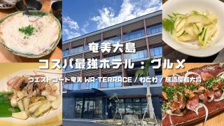 【奄美居酒屋動画紹介】【 奄美ホテル 🏨 】繁華街まで徒歩５分 🐾 奄美最新コスパ最強ホテル ♨️ 美味しいものもたくさん食べた幸せな１日目 🫧