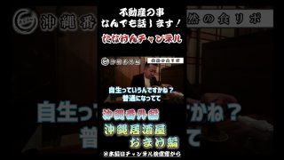 【沖縄居酒屋動画紹介】【 沖縄でのおまけ編 】居酒屋にて！ #shorts