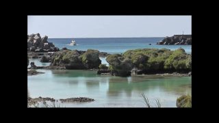 【シマ唄動画紹介】喜界島 　豊年祭　島唄　地踊り映像収録井上幸一　曲・スラヨイ黒糖・kouit inoue・オリジナル曲　（作詞・作曲・編曲・スラヨイ黒糖の音源制作・井上幸一）
