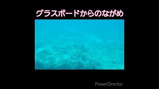 【奄美居酒屋動画紹介】奄美大島の海　11月なのに観光タクシー、ホテルのエアコンが冷房　暖かい♨️☀️　(番外編)　有名芸能人が永住　しかも居酒屋🏮　芸能人のサイン多数　私も住みたいと思いました🎵