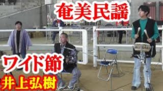 【シマ唄動画紹介】ワイド節　井上弘樹　奄美民謡　奄美シマ唄　amami【字幕】