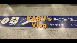 【沖縄居酒屋動画紹介】ただただ沖縄にいった