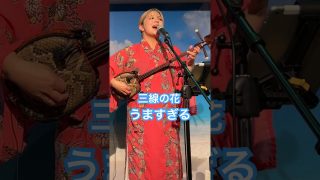 【沖縄居酒屋動画紹介】沖縄の民謡居酒屋好き過ぎる#沖縄#民謡居酒屋#結歌#三線の花