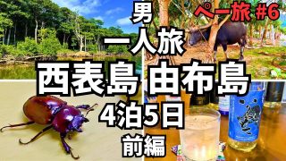 【沖縄居酒屋動画紹介】西表島ひとり旅 由布島と仲間川マングローブクルーズ 居酒屋で猪料理と泡盛 【沖縄 八重山諸島 観光】