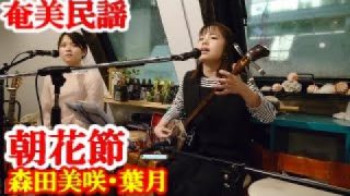 【シマ唄動画紹介】朝花節　森田美咲・葉月　奄美民謡　奄美シマ唄　amami【字幕】