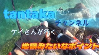 【沖縄居酒屋動画紹介】沖縄　冬場のフカセ釣り